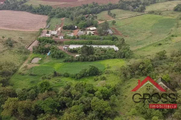 Chácara a venda medindo 59.000m² - porteira fechada, contendo 2 casas em alvenaria, 2 granjas suínas, 17 vacas, placa solar, plantadeira, trator, pulverizador, entre outros equipamentos. Localizada em Santa Terezinha, área rural de Capanema Pr. 