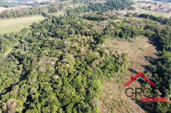 Chácara com 3,4 Alqueires - Capanema