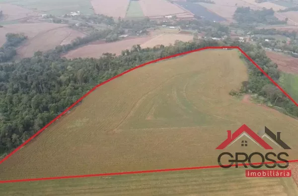 Terra a venda contendo 5.3 alqueires, c/ 4 mecanizados. Contém 1 casa em alvenaria de 85m²; 1 casa mista de 120m²; 1 barracão pré moldado com placa solar c/ metragem de 12x30 mais varanda de 04x30. Localizada no Distrito de São Luiz, em Capanema Pr. 