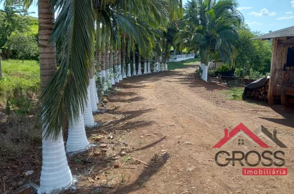 Sítio localizado na Flor da Serra em Capanema Paraná medindo 52.000m²- Contendo um aviário e uma casa em alvenaria- energia solar