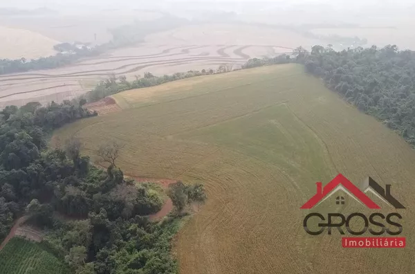 Terra a venda contendo 5.3 alqueires, c/ 4 mecanizados. Contém 1 casa em alvenaria de 85m²; 1 casa mista de 120m²; 1 barracão pré moldado com placa solar c/ metragem de 12x30 mais varanda de 04x30. Localizada no Distrito de São Luiz, em Capanema Pr. 