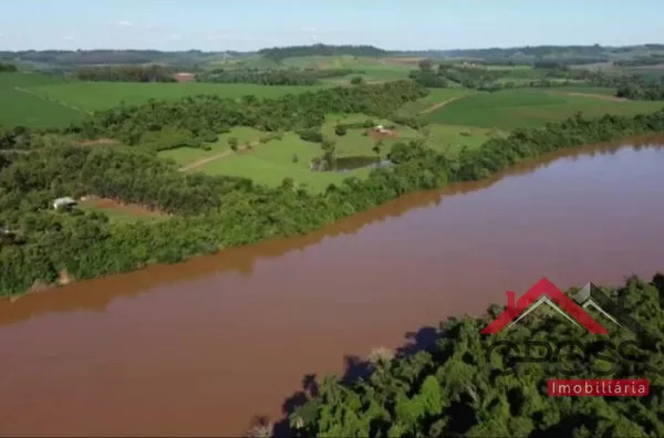 Chácara com plantação de eucalipto - Faz margem com Rio Iguaçu - Capanema - Foto 3