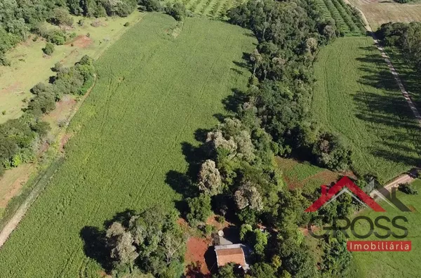 Chácara com 3,8 alqueires, sendo 2,5 mecanizados, com benfeitoria - Localizada no Engenheiro Pinto - Capanema Pr