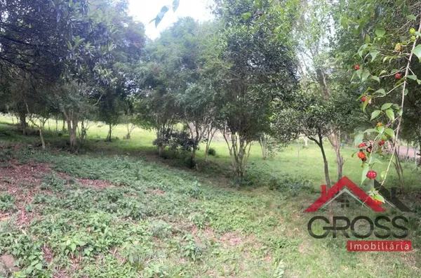 Chácara a venda com metragem de 25.000m² - Com escritura; Ótima de água; Localizada na Linha Gaucha, a 1km da Cidade de Capanema Pr;