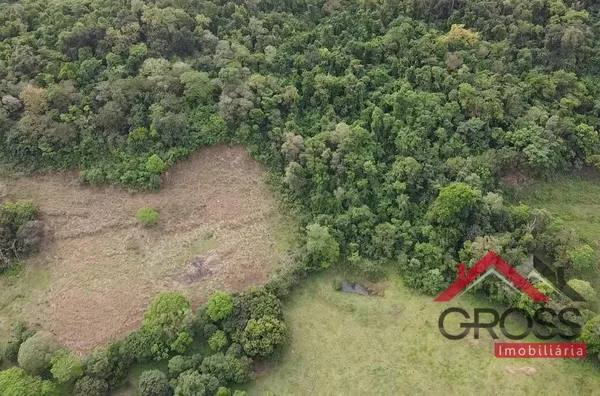 Chácara a venda com metragem de 25.000m² - Com escritura; Ótima de água; Localizada na Linha Gaucha, a 1km da Cidade de Capanema Pr;