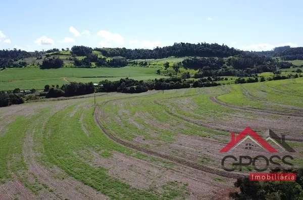 Terra a venda contendo 10 alqueires (242.000m²) localizada em São José do Liso na Cidade de Planalto Pr.