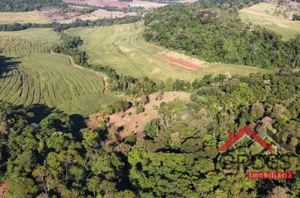 Chácara com 3,4 Alqueires - Capanema