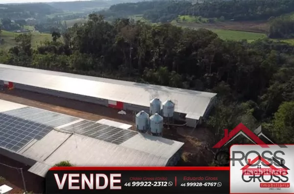 Área rural com grande potencial de renda, contando com área agrícola e avícola. Barracão e residência em alvenaria. Próximo a cidade de Capanema Pr. 