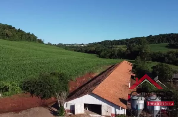 Sitio localizado a 500m da Cidade - Casa em Alvenaria - Galpão para avicultura - Capanema 