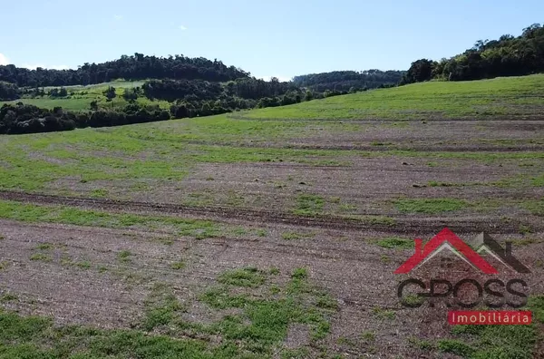 Terra a venda contendo 10 alqueires (242.000m²) localizada em São José do Liso na Cidade de Planalto Pr.