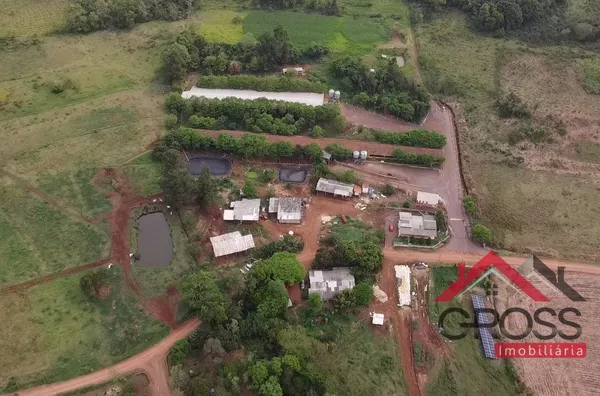 Chácara a venda medindo 59.000m² - porteira fechada, contendo 2 casas em alvenaria, 2 granjas suínas, 17 vacas, placa solar, plantadeira, trator, pulverizador, entre outros equipamentos. Localizada em Santa Terezinha, área rural de Capanema Pr. 
