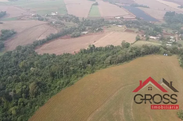 Terra a venda contendo 5.3 alqueires, c/ 4 mecanizados. Contém 1 casa em alvenaria de 85m²; 1 casa mista de 120m²; 1 barracão pré moldado com placa solar c/ metragem de 12x30 mais varanda de 04x30. Localizada no Distrito de São Luiz, em Capanema Pr. 