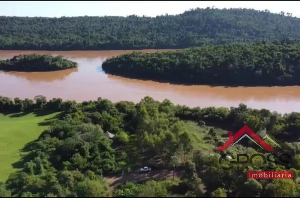 Chácara com plantação de eucalipto - Faz margem com Rio Iguaçu - Capanema - Foto 2