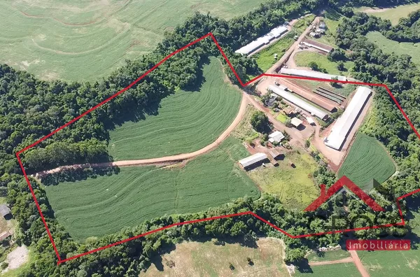 6,7 Alqueires - 3 Aviarios - 3 Casas