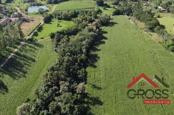 Chácara com 3,8 alqueires, sendo 2,5 mecanizados, com benfeitoria - Localizada no Engenheiro Pinto - Capanema Pr