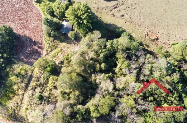 Chácara com 3,4 Alqueires - Capanema