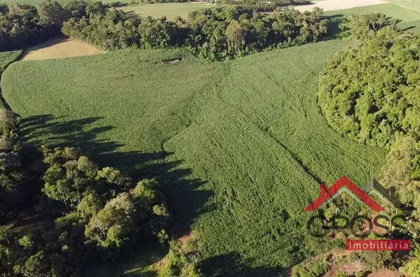 Sitio com 5 alqueires mecanizados - Capanema