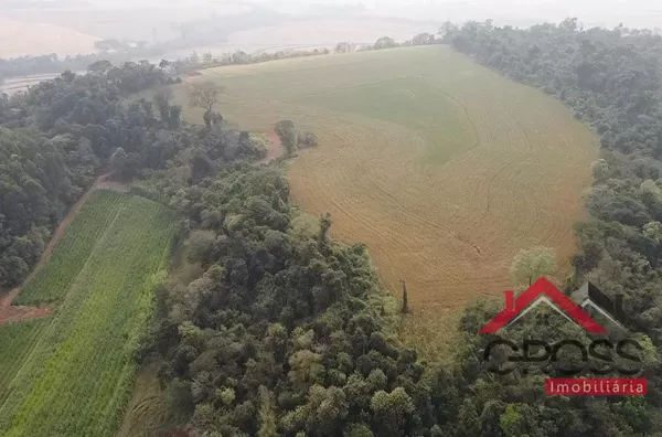 Terra a venda contendo 5.3 alqueires, c/ 4 mecanizados. Contém 1 casa em alvenaria de 85m²; 1 casa mista de 120m²; 1 barracão pré moldado com placa solar c/ metragem de 12x30 mais varanda de 04x30. Localizada no Distrito de São Luiz, em Capanema Pr. 