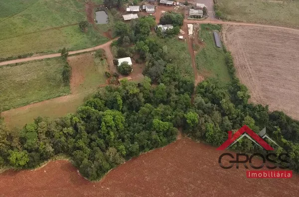 Chácara a venda medindo 59.000m² - porteira fechada, contendo 2 casas em alvenaria, 2 granjas suínas, 17 vacas, placa solar, plantadeira, trator, pulverizador, entre outros equipamentos. Localizada em Santa Terezinha, área rural de Capanema Pr. 