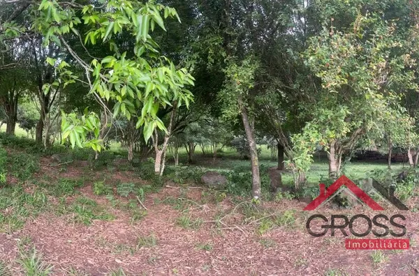 Chácara a venda com metragem de 25.000m² - Com escritura; Ótima de água; Localizada na Linha Gaucha, a 1km da Cidade de Capanema Pr;