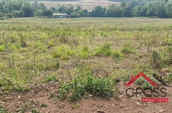 Sítio para venda,  Rural, Capanema - Foto 1