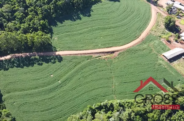 6,7 Alqueires - 3 Aviarios - 3 Casas