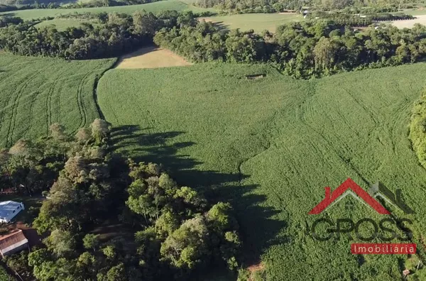 Sitio com 5 alqueires mecanizados - Capanema