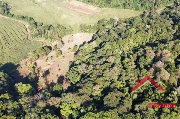 Chácara com 3,4 Alqueires - Capanema