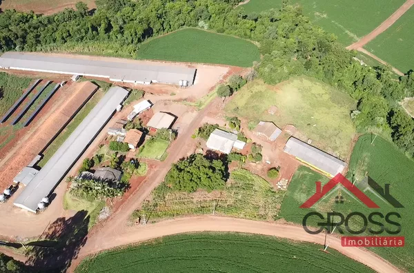 6,7 Alqueires - 3 Aviarios - 3 Casas