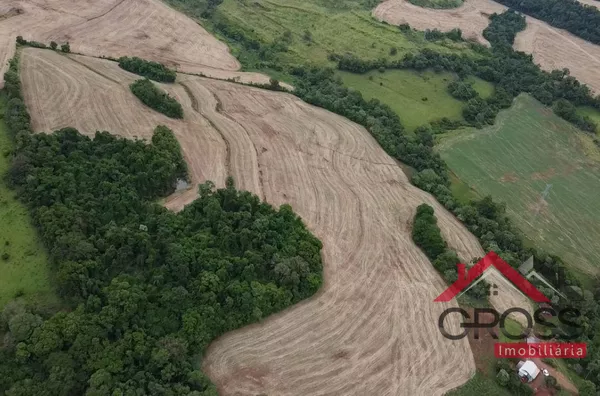 Chácara possuindo 5.2 alqueires, sendo 3.8 mecanizados. Localizada em Ouro Azul, área Rural no município de Capanema Paraná.