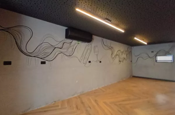 - salao para aluguel, Imirim, São Paulo - Foto 14