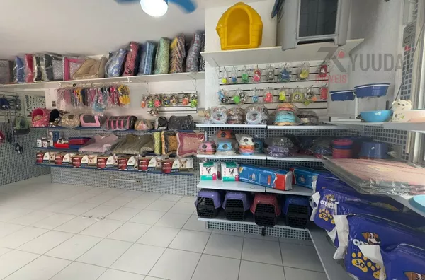 Salão  para aluguel,  Vila Regente Feijó, São Paulo - Foto 2