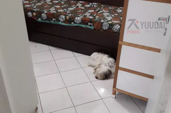 Apartamento à Venda, 2 quarto(s), Bela Vista, São Paulo