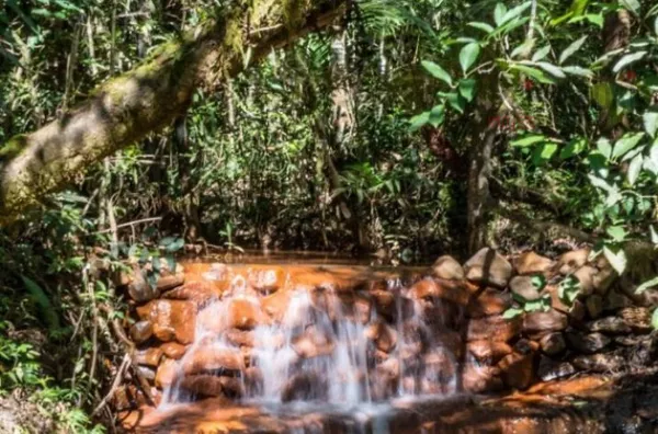 Terreno À VENDA, Ninho Verde II, Pardinho
