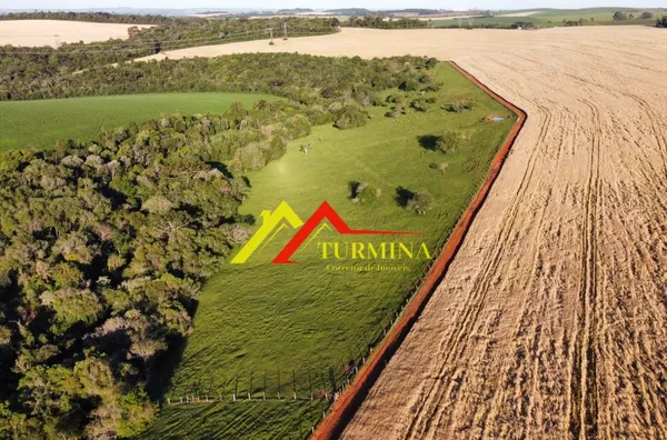 CHÁCARA SÃO BRÁS/PASSO DA PEDRA