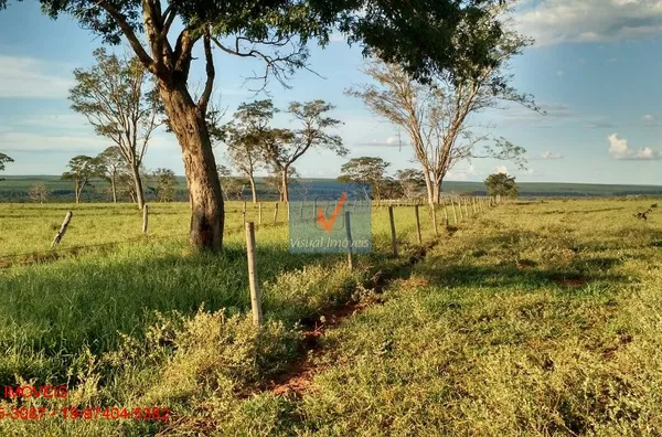 FAZENDA NORMAL para venda REGIÃO BRASILÂNDIA REGIÃO BRASILÂNDIA