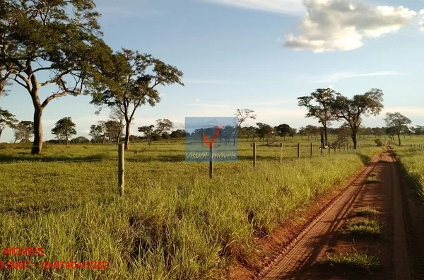 FAZENDA NORMAL para venda REGIÃO BRASILÂNDIA REGIÃO BRASILÂNDIA