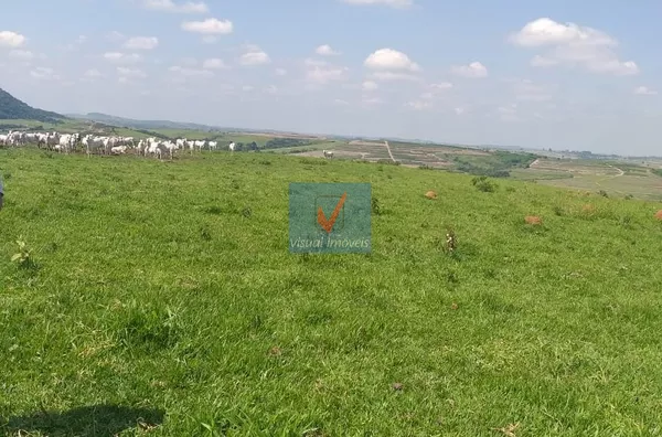 FAZENDA TERREO(A) para venda FAZENDA EM PIRACICABA 422 ALQUEIRES PIRACICABA