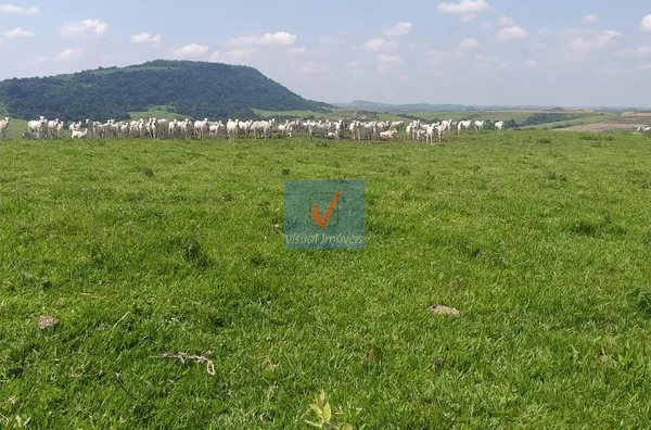 FAZENDA TERREO(A) para venda FAZENDA EM PIRACICABA 422 ALQUEIRES PIRACICABA