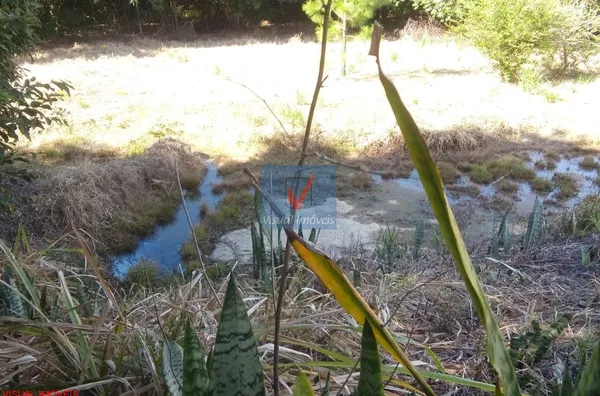 SITIO para venda JARDIM DOS LARANJAIS Indaiatuba