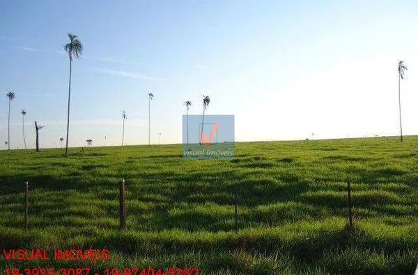 FAZENDA TERREO(A) para venda REGIÃO DE BRASILÂNDIA/MS REGIÃO DE BRASILÂNDIA/MS