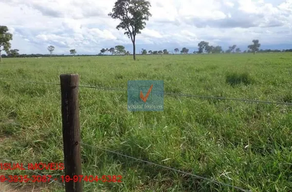 FAZENDA TERREO(A) para venda REGIÃO DE BRASILÂNDIA/MS REGIÃO DE BRASILÂNDIA/MS