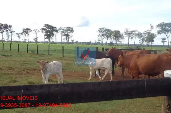 FAZENDA TERREO(A) para venda REGIÃO DE BRASILÂNDIA/MS REGIÃO DE BRASILÂNDIA/MS
