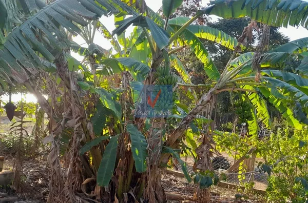 Chácara para venda, Estrada de Indaiatuba - Monte Mor