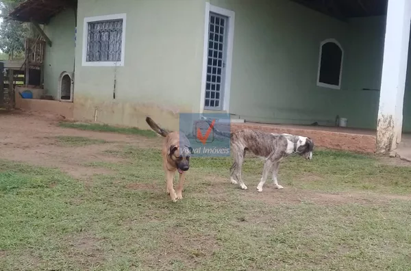 Sítio para venda, 2 quarto(s),  Campo De Boituva, Boituva