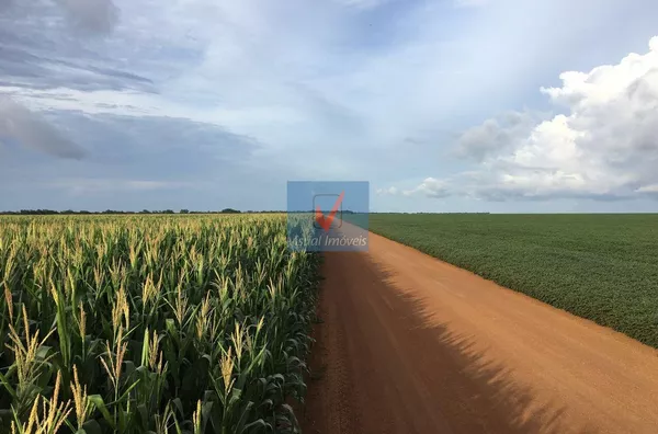 FAZENDA NORMAL para venda ESTADO PIAUI ESTADO PIAUI