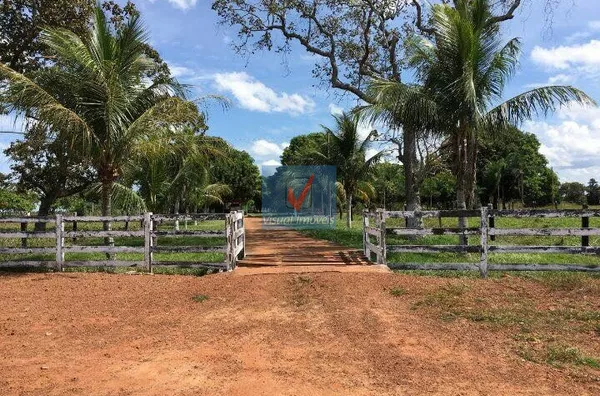 FAZENDA NORMAL para venda FAZENDA SERRINHA EM TOCANTINS FAZENDA SERRINHA EM TOCANTINS