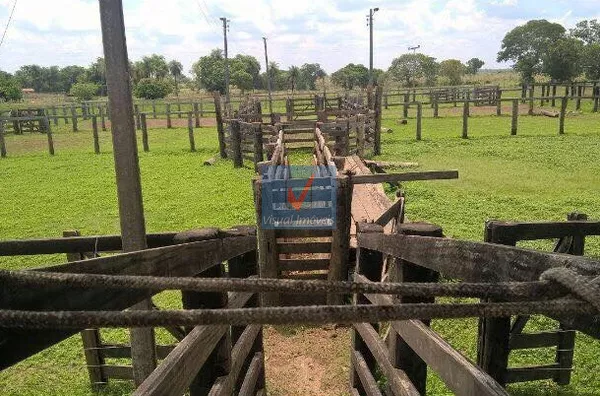 FAZENDA NORMAL para venda FAZENDA SERRINHA EM TOCANTINS FAZENDA SERRINHA EM TOCANTINS