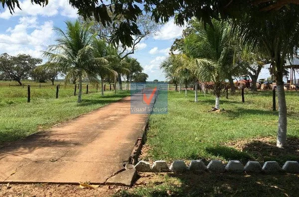 FAZENDA NORMAL para venda FAZENDA SERRINHA EM TOCANTINS FAZENDA SERRINHA EM TOCANTINS