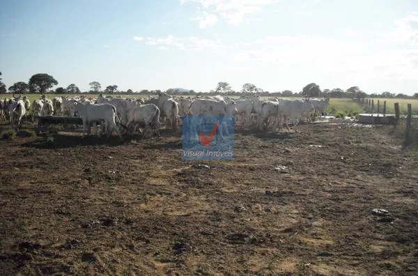 FAZENDA NORMAL para venda NOVA XAVANTINA/MT NOVA XAVANTINA/MT